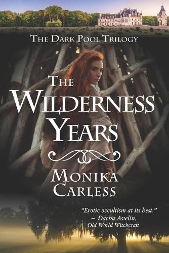 Cover image for The Wilderness Years