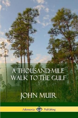 Cover image for A Thousand-Mile Walk to the Gulf