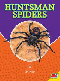 Cover image for Huntsman Spiders