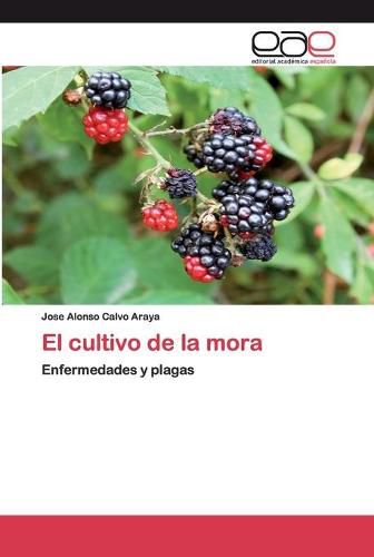 Cover image for El cultivo de la mora