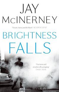 Cover image for Brightness Falls