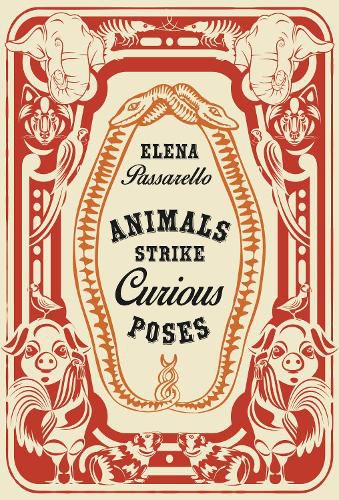 Cover image for Animals Strike Curious Poses
