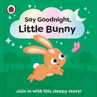 Cover image for Say Goodnight, Little Bunny