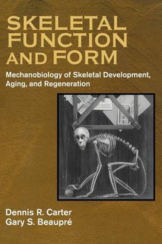 Cover image for Skeletal Function and Form: Mechanobiology of Skeletal Development, Aging, and Regeneration