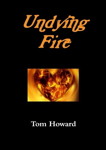 Cover image for Undying Fire