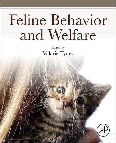 Cover image for Feline Behavior and Welfare