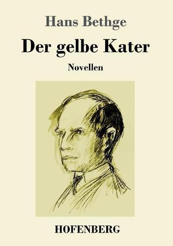 Cover image for Der gelbe Kater: Novellen