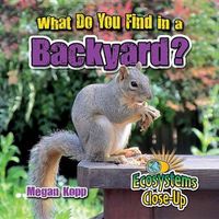 Cover image for What Do You Find in a Backyard?