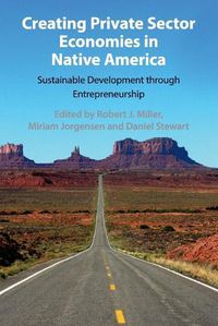 Cover image for Creating Private Sector Economies in Native America: Sustainable Development through Entrepreneurship