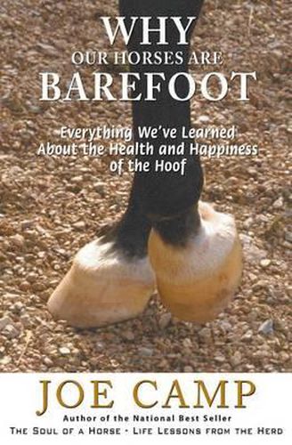Cover image for Why Our Horses Are Barefoot: Everything We've Learned About the Health and Happiness of the Hoof