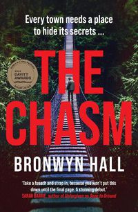 Cover image for The Chasm