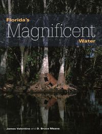 Cover image for Florida's Magnificent Water