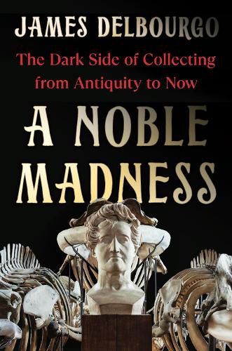 Cover image for A Noble Madness