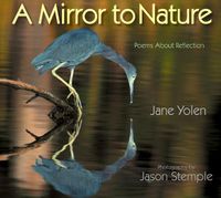 Cover image for Mirror to Nature, A: Poems about Reflection