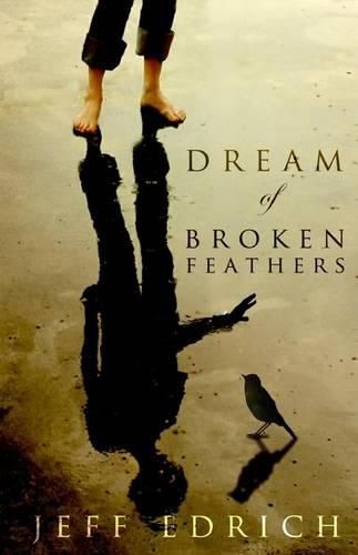 Cover image for Dream of Broken Feathers