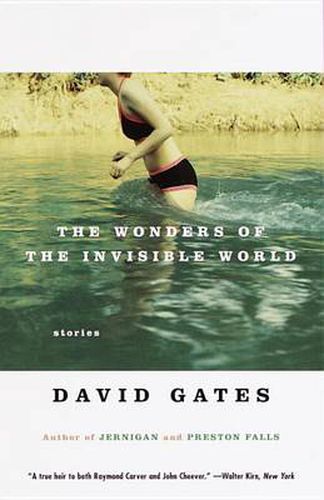 Cover image for The Wonders of the Invisible World