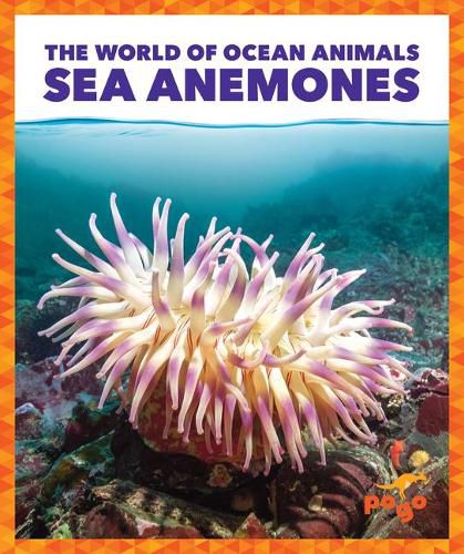 Cover image for Sea Anemones