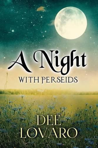 Cover image for A Night With Perseids