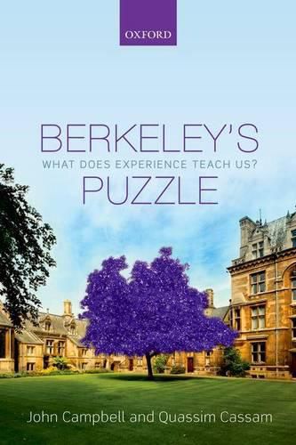 Cover image for Berkeley's Puzzle: What Does Experience Teach Us?