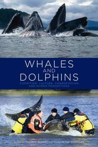Cover image for Whales and Dolphins: Cognition, Culture, Conservation and Human Perceptions