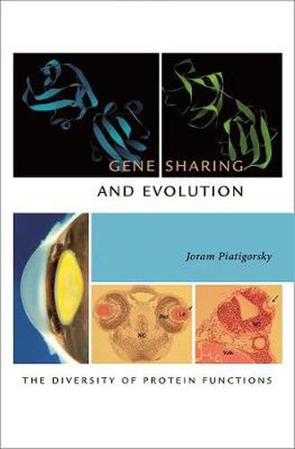 Cover image for Gene Sharing and Evolution: The Diversity of Protein Functions