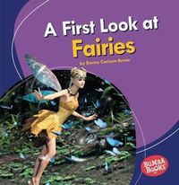 Cover image for A First Look at Fairies