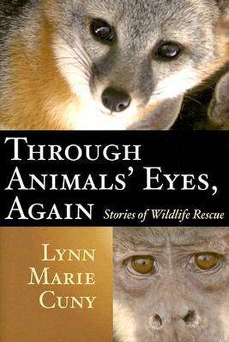 Cover image for Through Animals' Eyes, Again: Stories of Wildlife Rescue