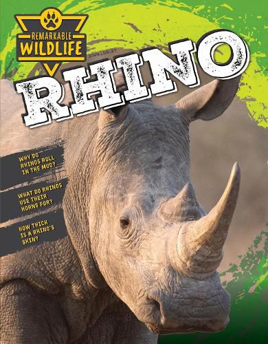 Cover image for Rhinoceros (Rhino)