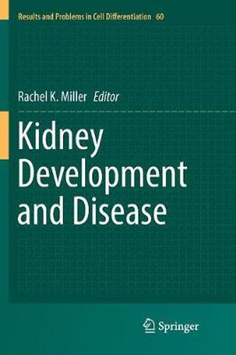 Cover image for Kidney Development and Disease