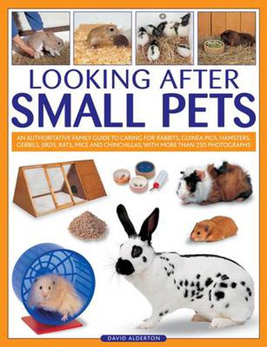Cover image for Looking After Small Pets