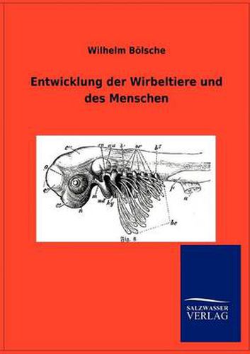 Cover image for Entwicklung der Wirbeltiere und des Menschen
