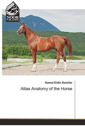 Cover image for Atlas Anatomy of the Horse