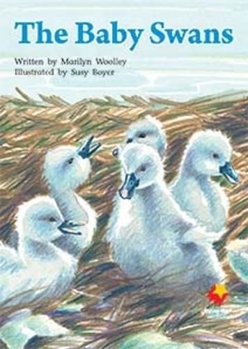 Cover image for The Baby Swans