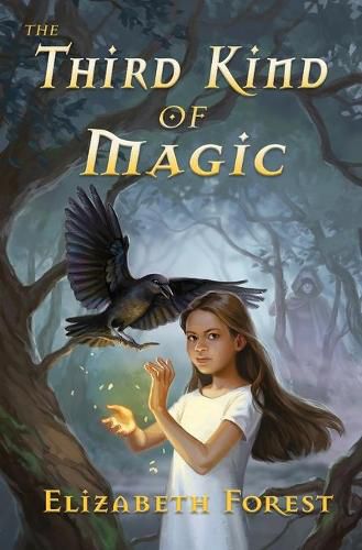 Cover image for The Third Kind of Magic