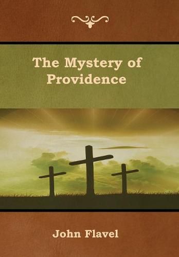 Cover image for The Mystery of Providence