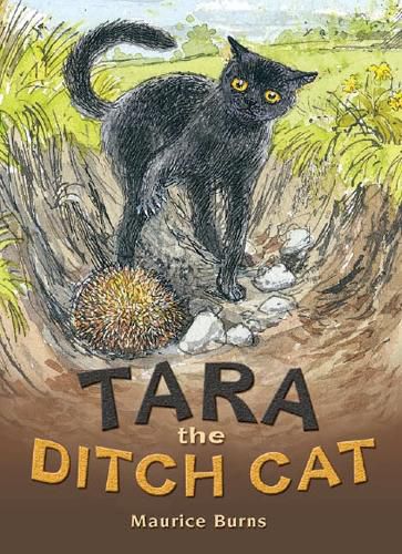 Cover image for Rigby Literacy Collections Take-Home Library Middle Primary: Tara the Ditch Cat (Reading Level 30/F&P Level U)