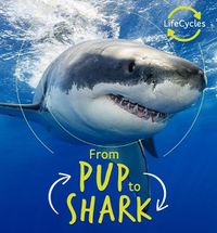 Cover image for From Pup to Shark