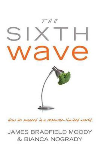 Cover image for The Sixth Wave: How to Succeed in a Resource-Limited World