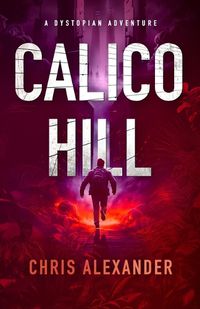 Cover image for Calico Hill