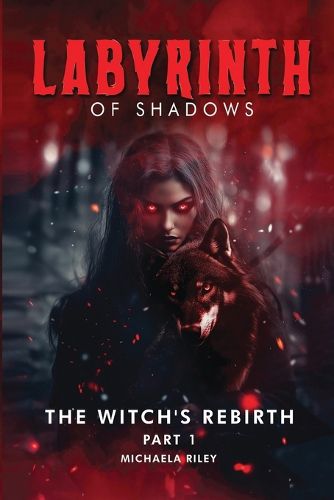 Cover image for Labyrinth of Shadows