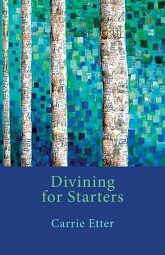 Cover image for Divining for Starters