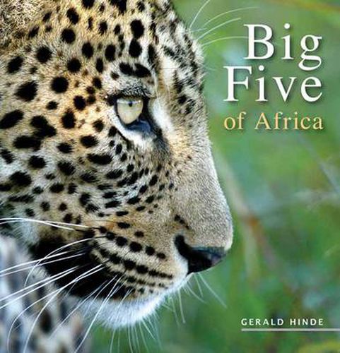 Cover image for Big Five of Africa