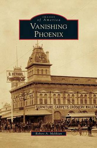 Cover image for Vanishing Phoenix