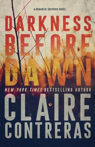 Cover image for Darkness Before Dawn