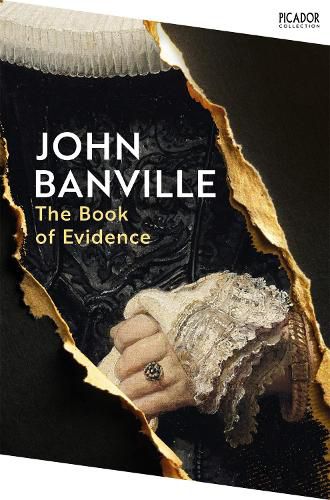 Cover image for The Book of Evidence