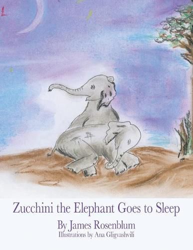 Cover image for Zucchini the Elephant Goes to Sleep