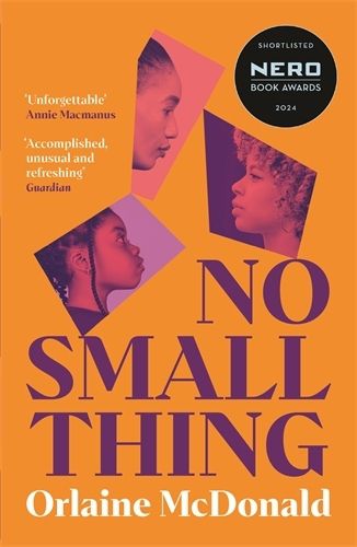 Cover image for No Small Thing