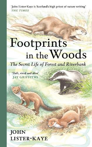 Cover image for Footprints in the Woods