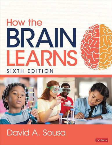 Cover image for How the Brain Learns