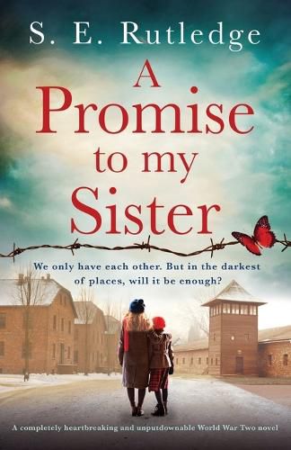 Cover image for A Promise to My Sister